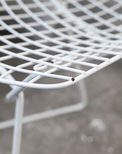 Bertoia Chair